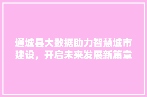 通城县大数据助力智慧城市建设，开启未来发展新篇章