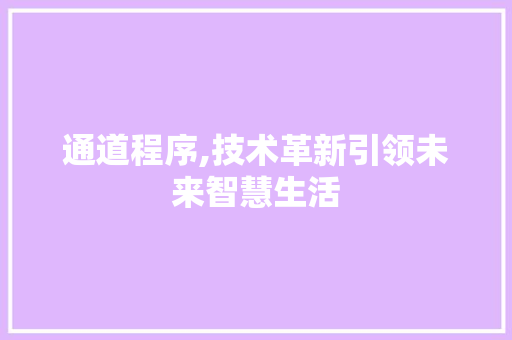 通道程序,技术革新引领未来智慧生活