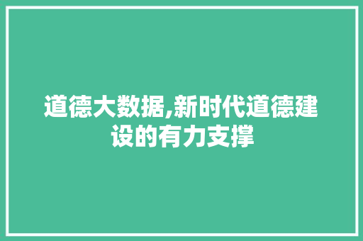 道德大数据,新时代道德建设的有力支撑 seo技术