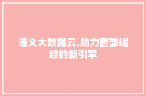 遵义大数据云,助力西部崛起的新引擎 网站优化