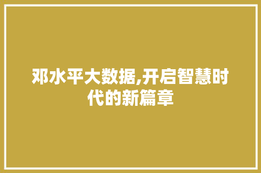 邓水平大数据,开启智慧时代的新篇章