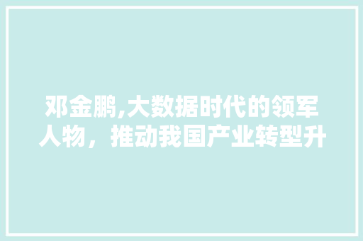 邓金鹏,大数据时代的领军人物，推动我国产业转型升级 AI技术学习