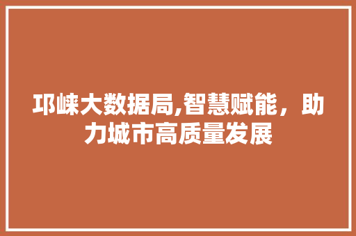 邛崃大数据局,智慧赋能，助力城市高质量发展