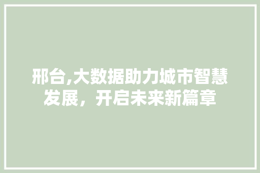 邢台,大数据助力城市智慧发展，开启未来新篇章