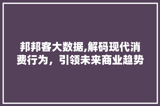 邦邦客大数据,解码现代消费行为，引领未来商业趋势 小程序开发