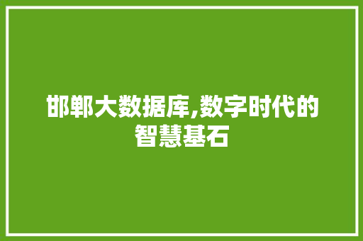 邯郸大数据库,数字时代的智慧基石