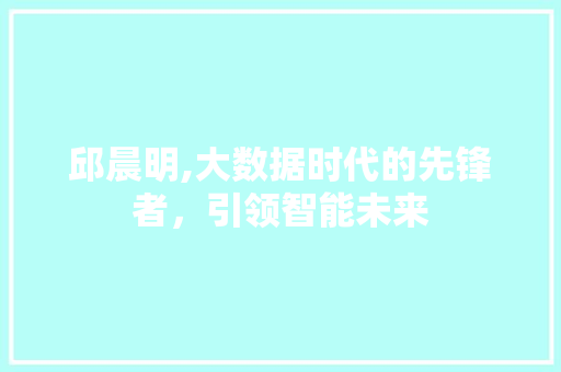 邱晨明,大数据时代的先锋者，引领智能未来
