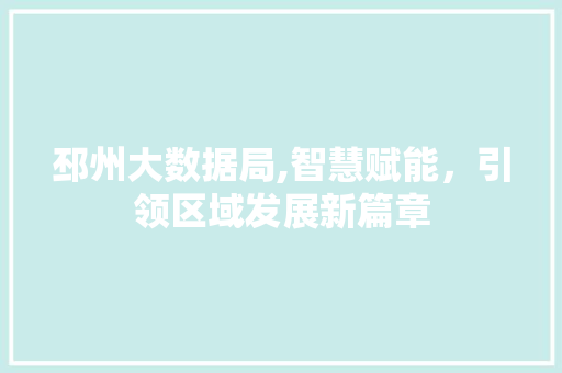 邳州大数据局,智慧赋能，引领区域发展新篇章