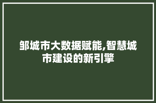 邹城市大数据赋能,智慧城市建设的新引擎