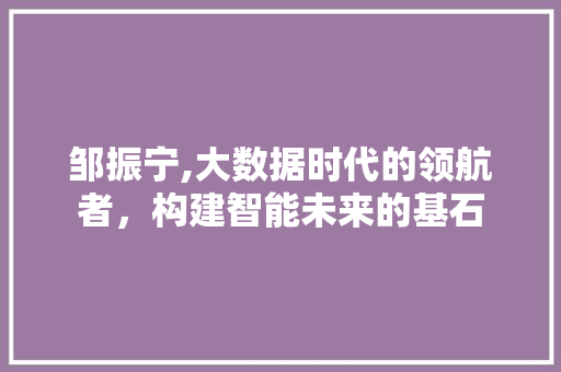 邹振宁,大数据时代的领航者，构建智能未来的基石