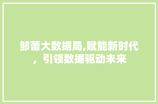 邹蕾大数据局,赋能新时代，引领数据驱动未来
