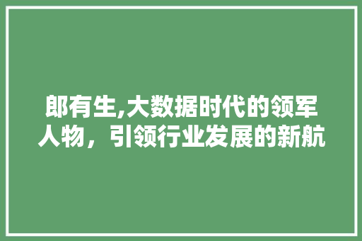 郎有生,大数据时代的领军人物，引领行业发展的新航标
