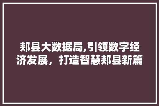 郏县大数据局,引领数字经济发展，打造智慧郏县新篇章