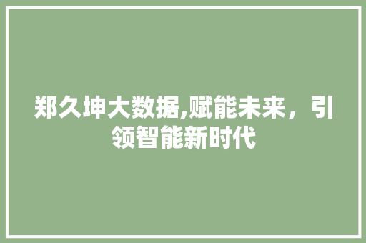 郑久坤大数据,赋能未来，引领智能新时代