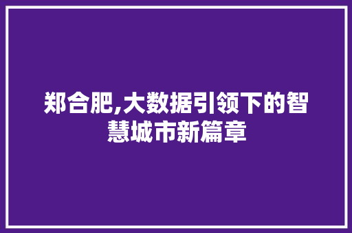 郑合肥,大数据引领下的智慧城市新篇章
