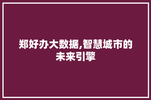 郑好办大数据,智慧城市的未来引擎