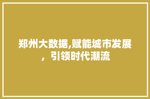 郑州大数据,赋能城市发展，引领时代潮流