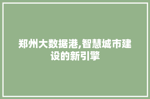 郑州大数据港,智慧城市建设的新引擎 搜狗优化