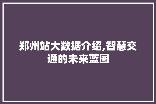 郑州站大数据介绍,智慧交通的未来蓝图 英文谷歌算法