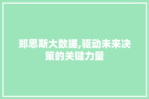 郑思斯大数据,驱动未来决策的关键力量