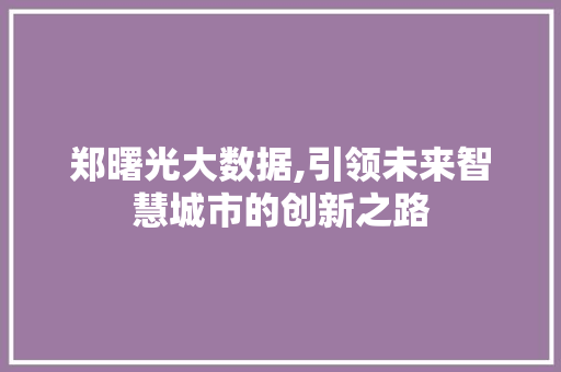 郑曙光大数据,引领未来智慧城市的创新之路 英文谷歌算法