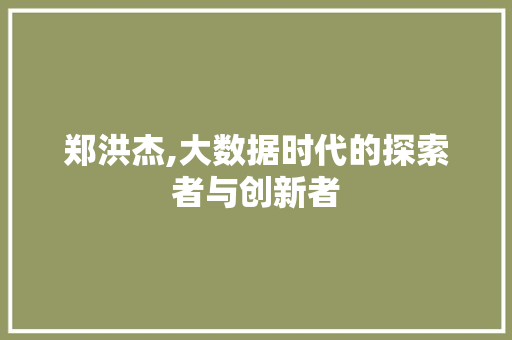 郑洪杰,大数据时代的探索者与创新者