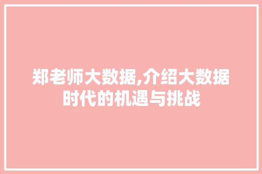 郑老师大数据,介绍大数据时代的机遇与挑战