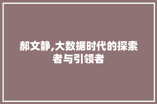 郝文静,大数据时代的探索者与引领者