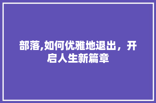 部落,如何优雅地退出，开启人生新篇章