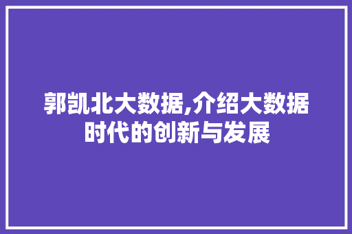 郭凯北大数据,介绍大数据时代的创新与发展