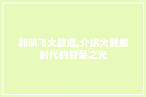 郭明飞大数据,介绍大数据时代的智慧之光