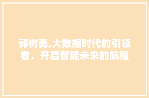 郭树勇,大数据时代的引领者，开启智能未来的航程 网站开发