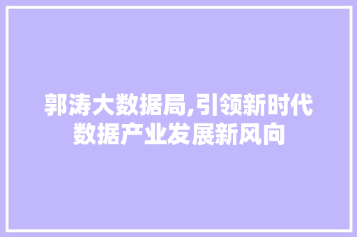 郭涛大数据局,引领新时代数据产业发展新风向