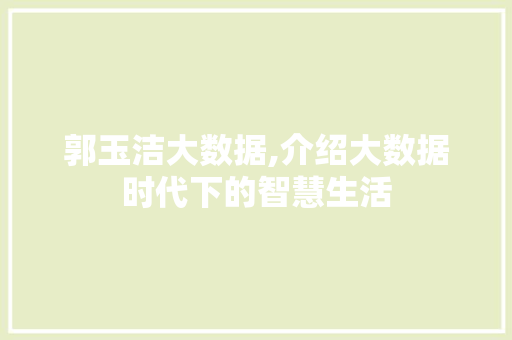 郭玉洁大数据,介绍大数据时代下的智慧生活