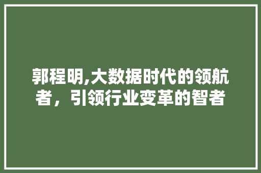 郭程明,大数据时代的领航者，引领行业变革的智者