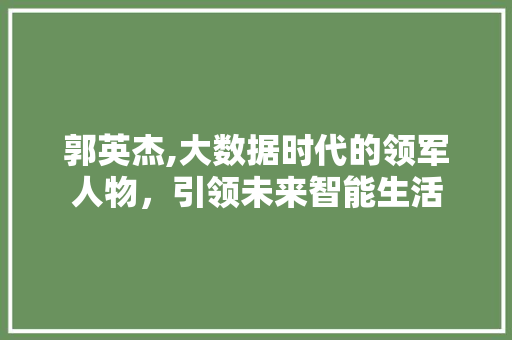郭英杰,大数据时代的领军人物，引领未来智能生活