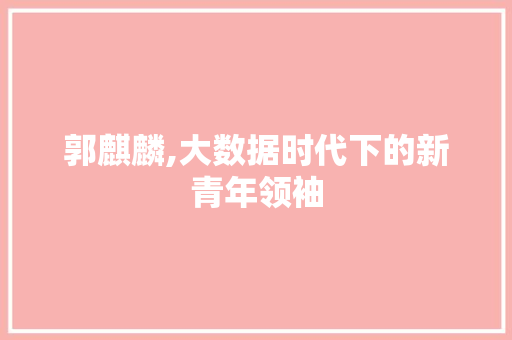 郭麒麟,大数据时代下的新青年领袖