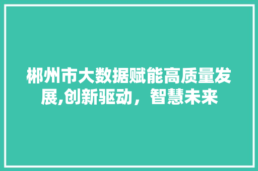 郴州市大数据赋能高质量发展,创新驱动，智慧未来