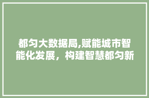 都匀大数据局,赋能城市智能化发展，构建智慧都匀新蓝图 小程序开发