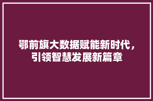 鄂前旗大数据赋能新时代，引领智慧发展新篇章 搜狗优化