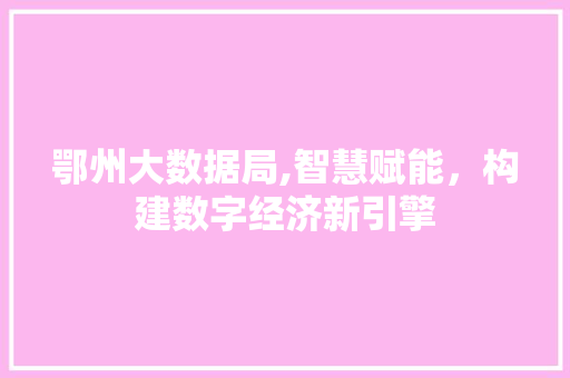 鄂州大数据局,智慧赋能，构建数字经济新引擎