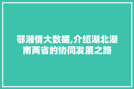 鄂湘情大数据,介绍湖北湖南两省的协同发展之路