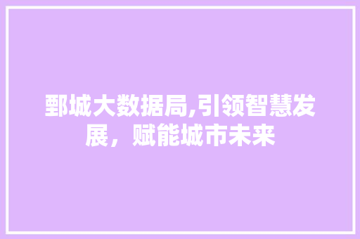 鄄城大数据局,引领智慧发展，赋能城市未来