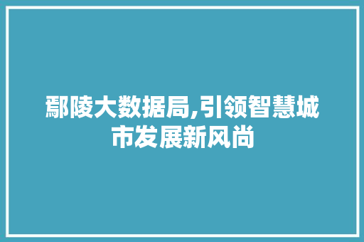 鄢陵大数据局,引领智慧城市发展新风尚