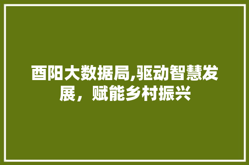 酉阳大数据局,驱动智慧发展，赋能乡村振兴