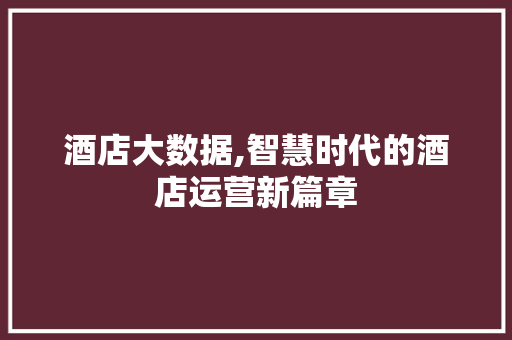 酒店大数据,智慧时代的酒店运营新篇章