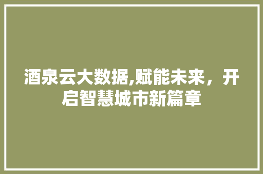 酒泉云大数据,赋能未来，开启智慧城市新篇章