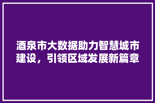 酒泉市大数据助力智慧城市建设，引领区域发展新篇章