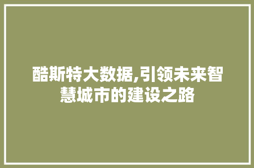 酷斯特大数据,引领未来智慧城市的建设之路