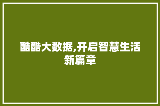 酷酷大数据,开启智慧生活新篇章
